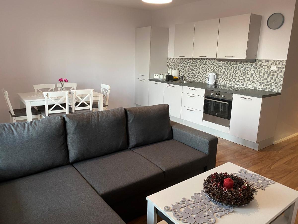 Apartament Wiewiorka Radzyń エクステリア 写真