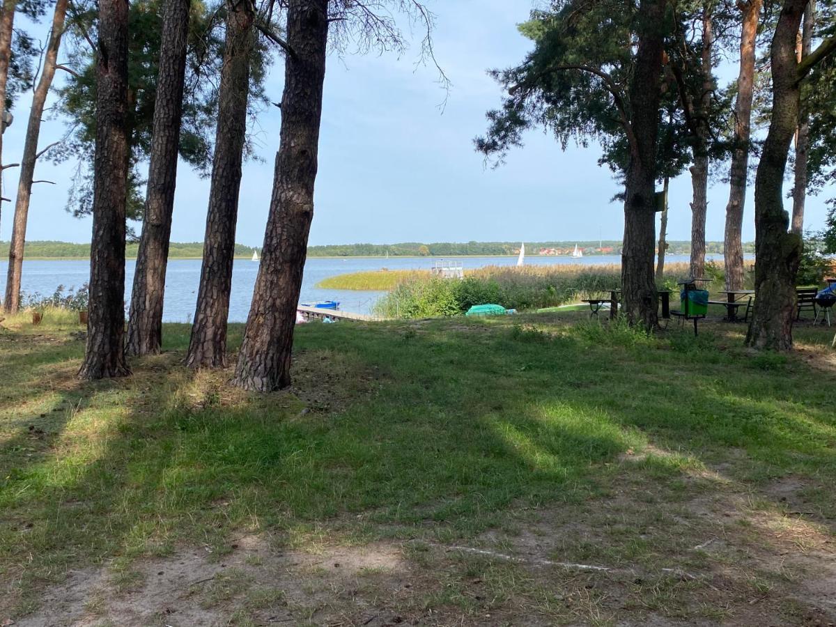 Apartament Wiewiorka Radzyń エクステリア 写真