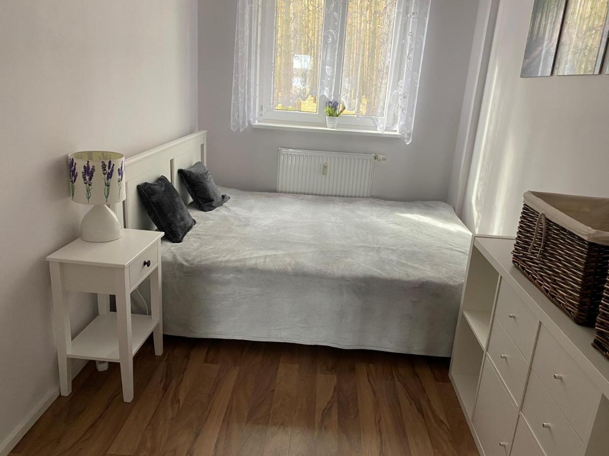 Apartament Wiewiorka Radzyń エクステリア 写真